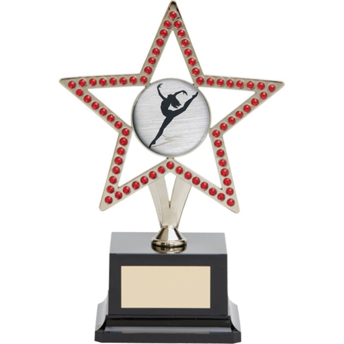 10'' SILVER METAL STAR WITH RED GEMSTONES - CHOICE OF SPORTS CENTRE 10'' SILVER METAL STAR WITH RED GEMSTONES - CHOICE OF SPORTS CENTRE